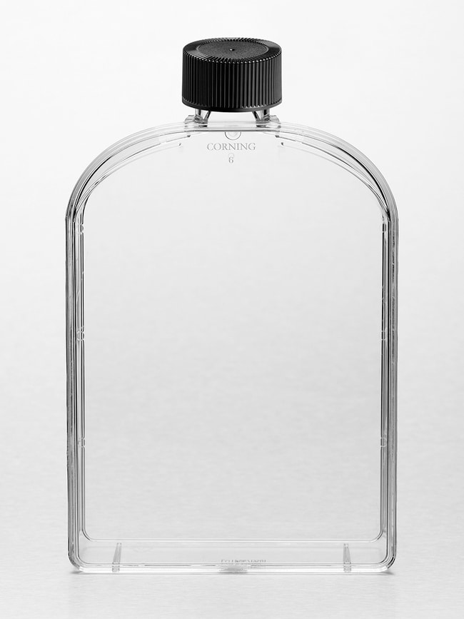 Corning Cell Culture Treated Flasks, Kap